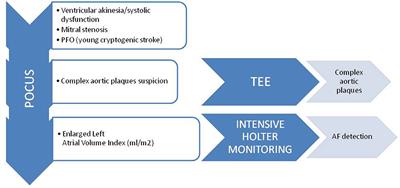 The Role of Echocardiography Screening at the Stroke Unit